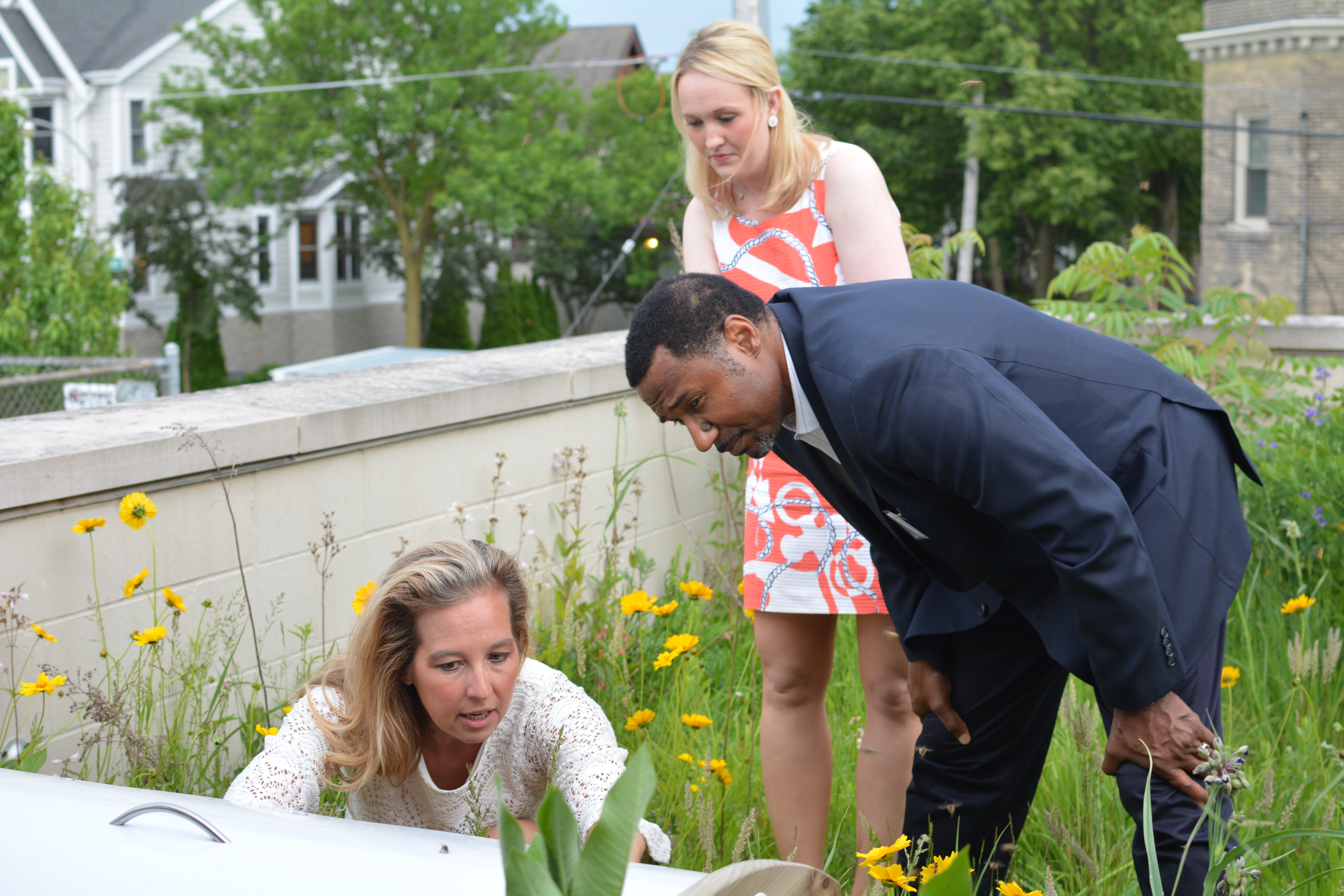 Supporters of the Urban Ecology Center examining the bee box on the Center's green roof