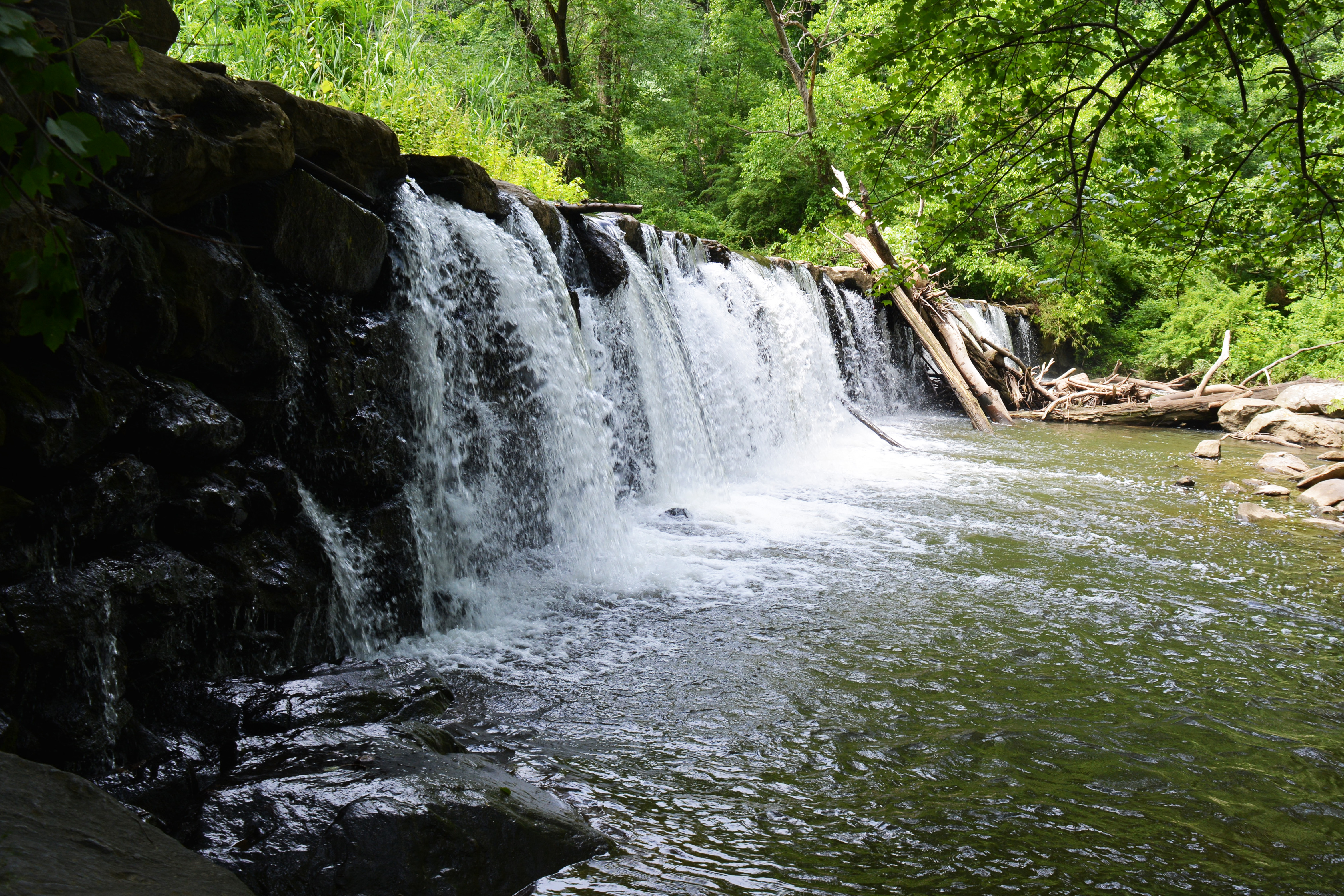 Waterfall in Ridley Creek State Park