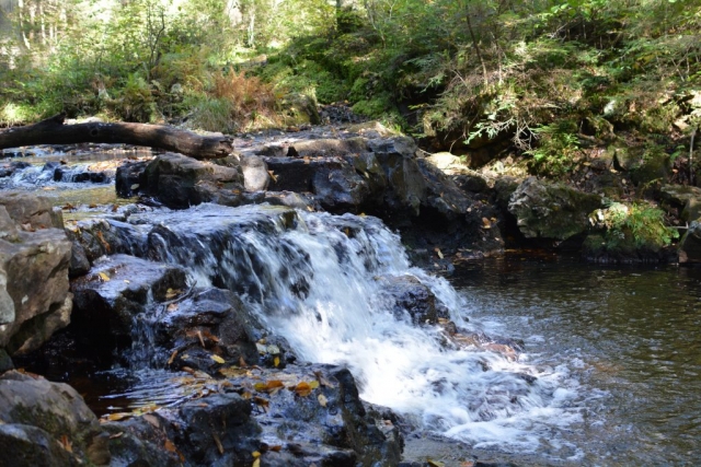 A waterfall at Ricketts Glen State Park