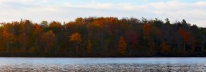 Trees in the fall across a lake