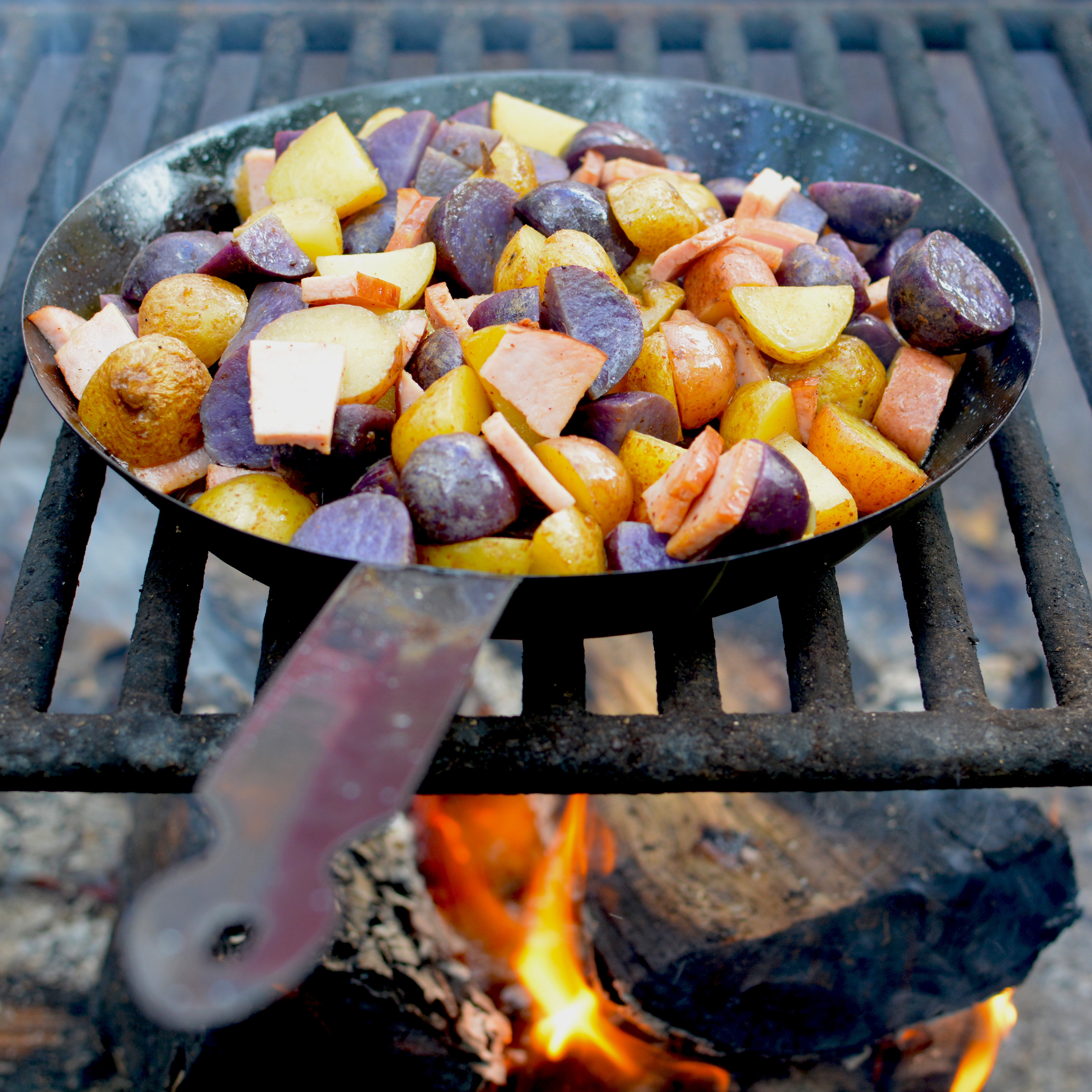Potatoes roasting over an outdoor campfire