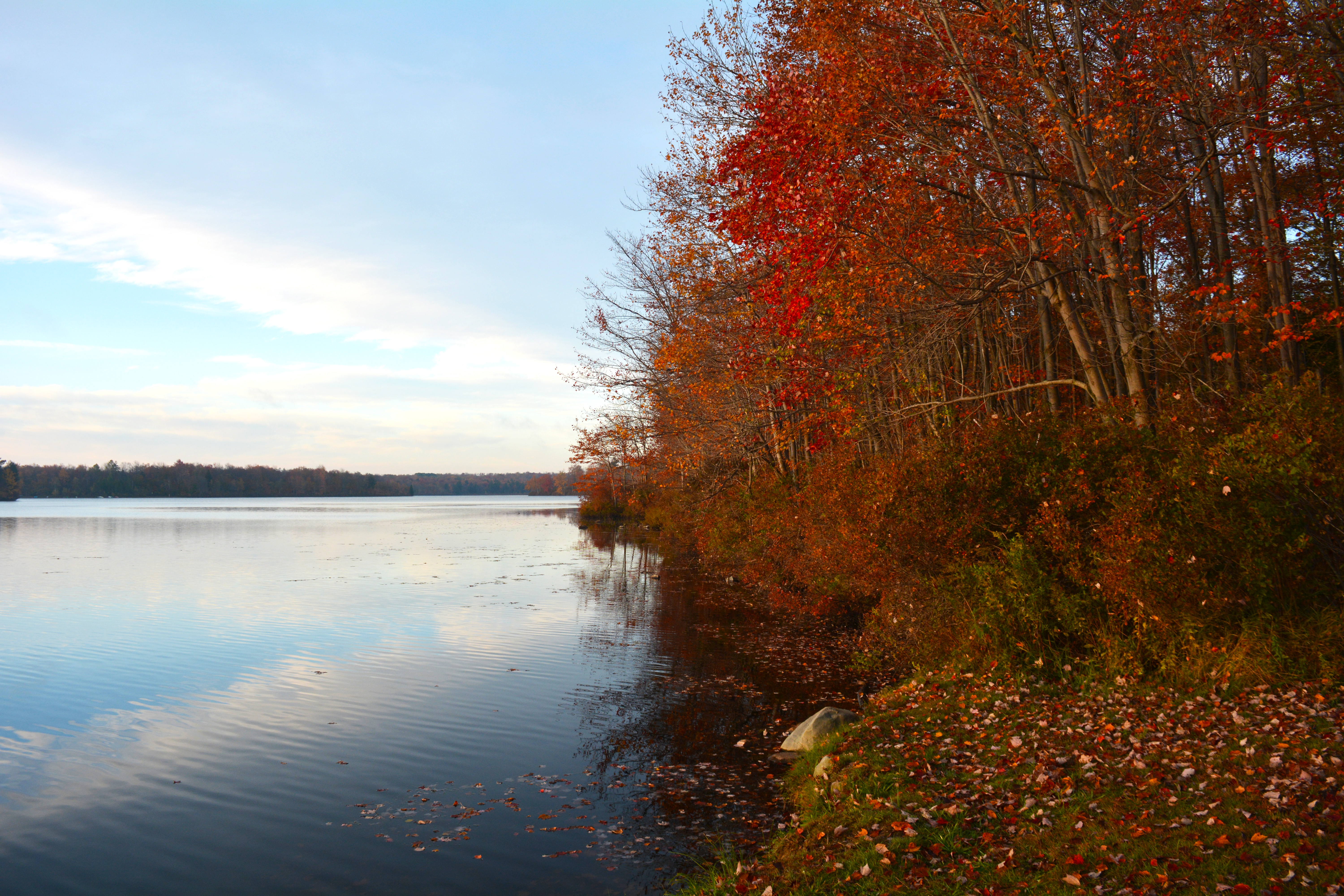 Sunrise view of Tobyhanna Lake with trees along the shore